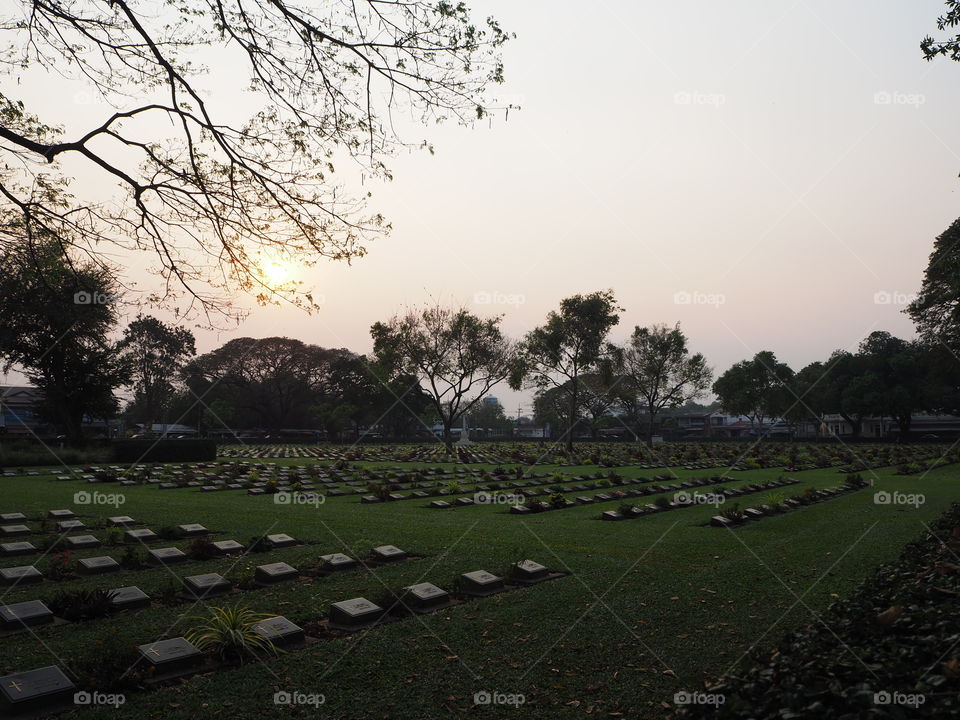 Military cemetery