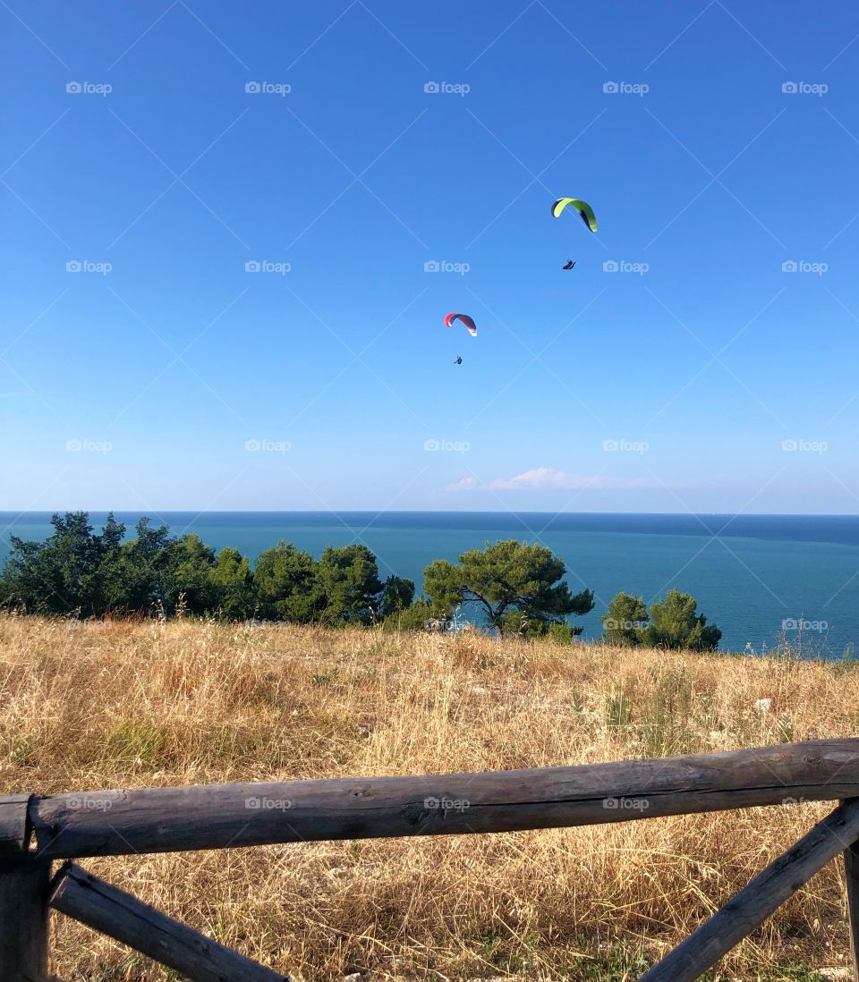 Seascape in summer 