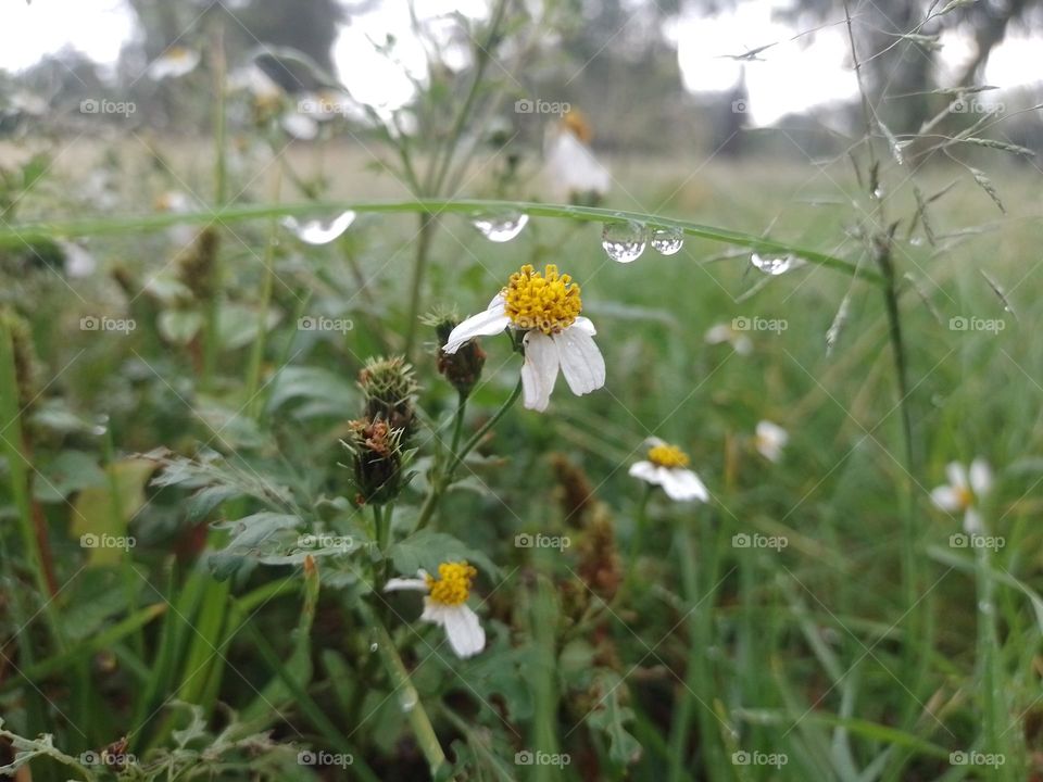 Días de lluvia 💘