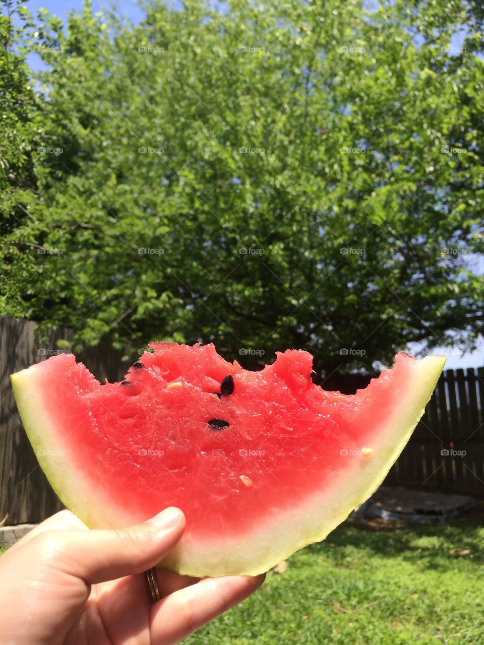 Summertime watermelon 