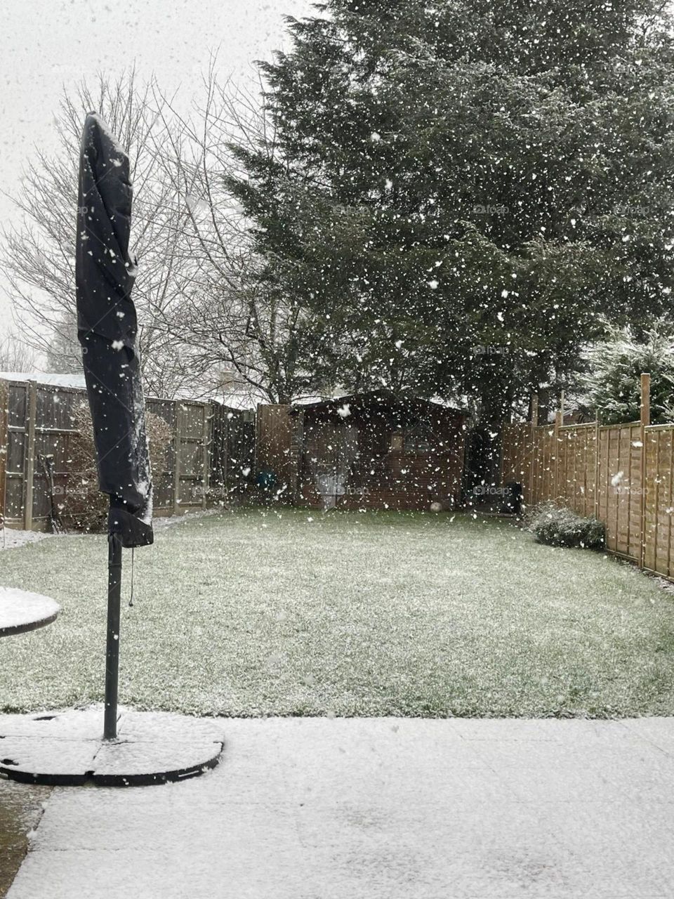 Is there anything else prettier than snow?