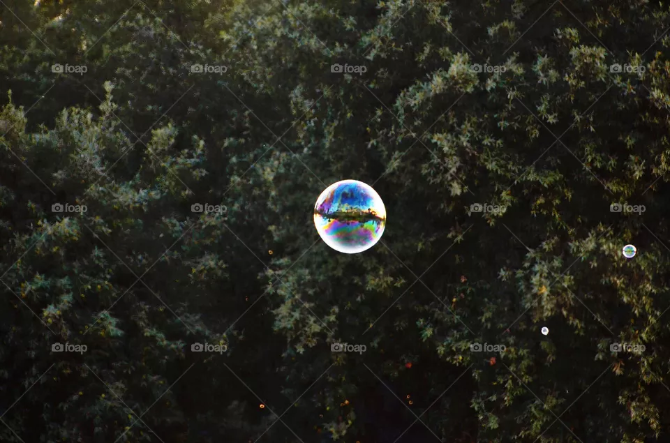 One bubble