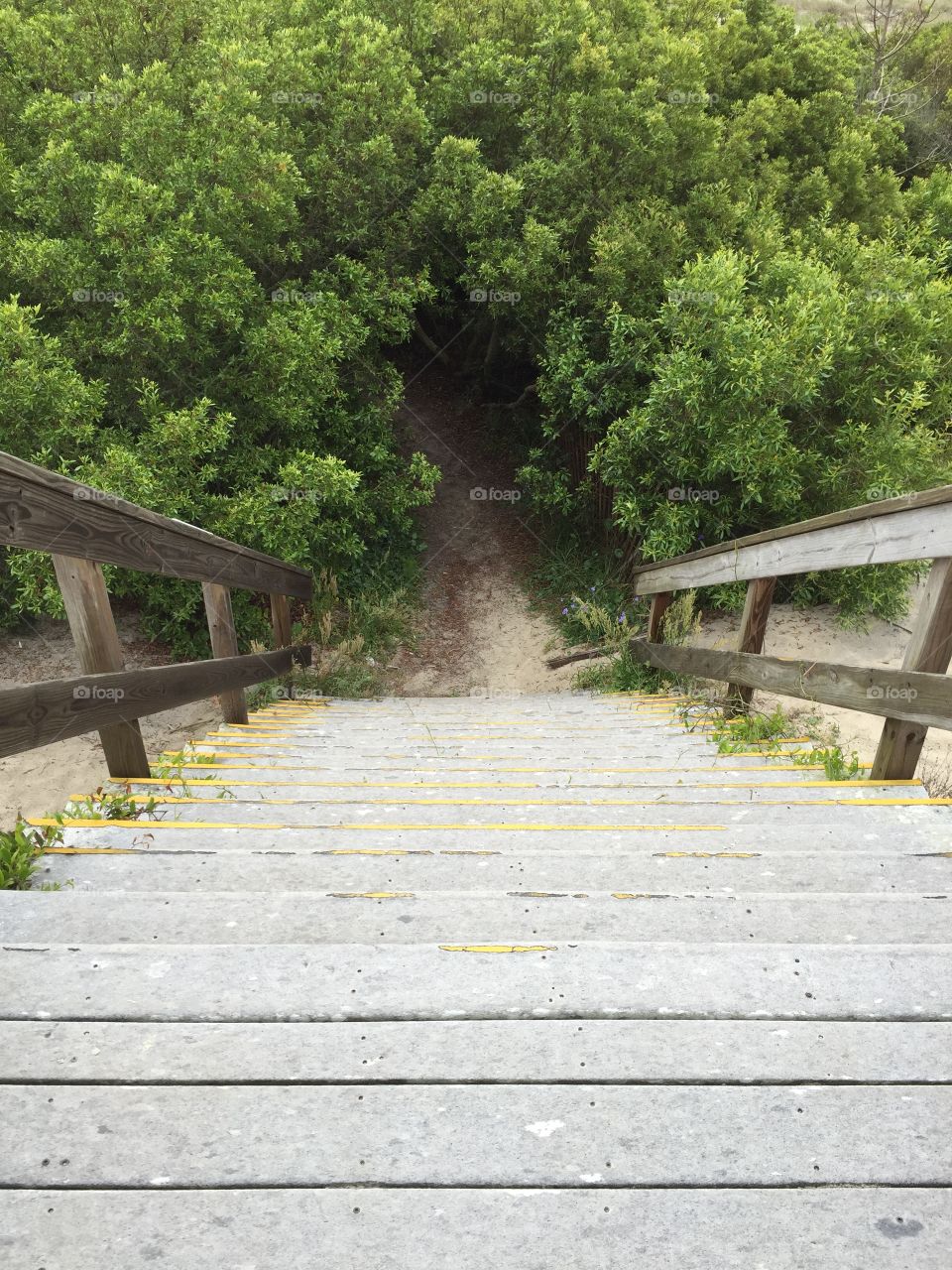 Hiking trail