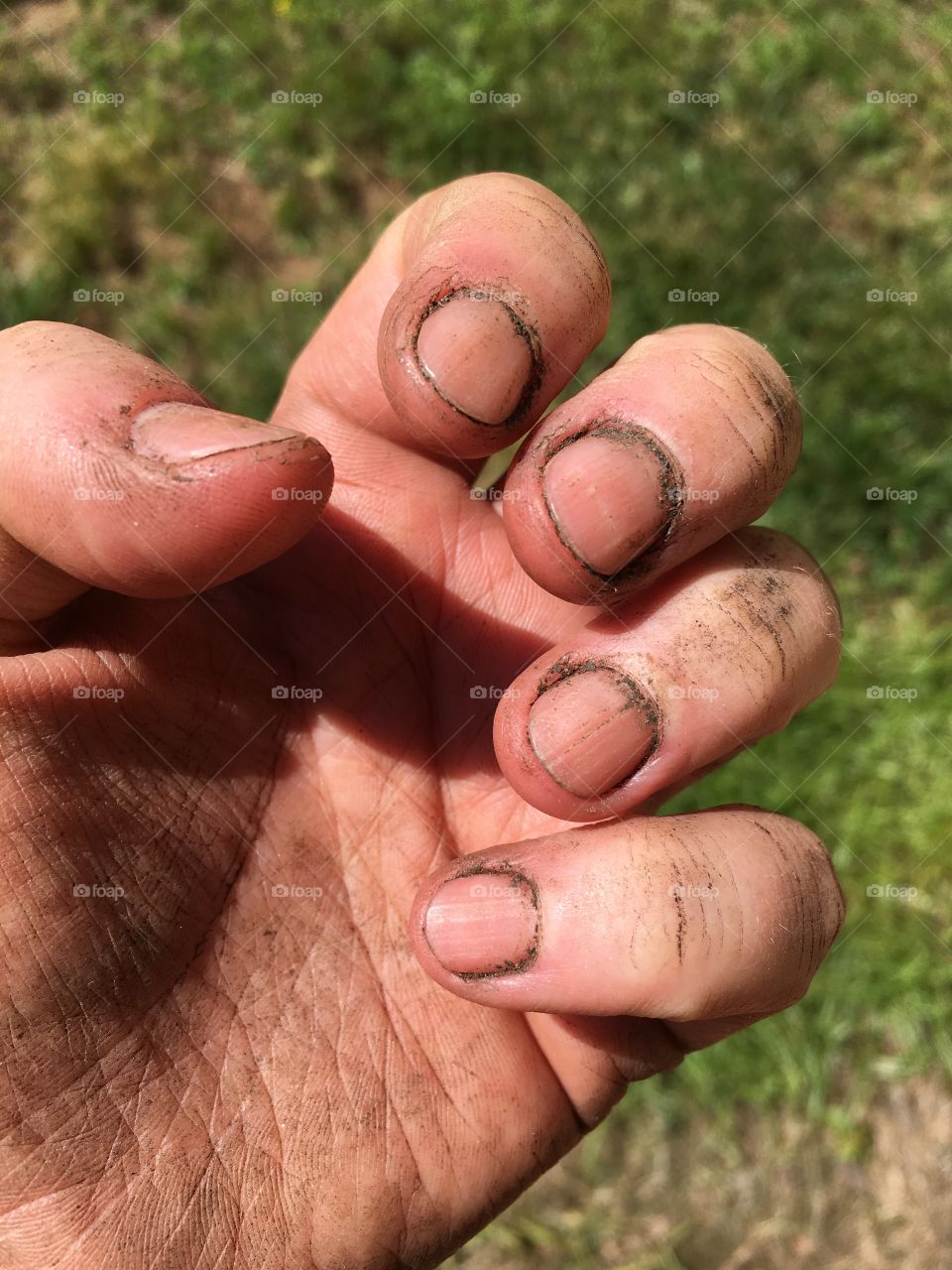 Gardening Hands