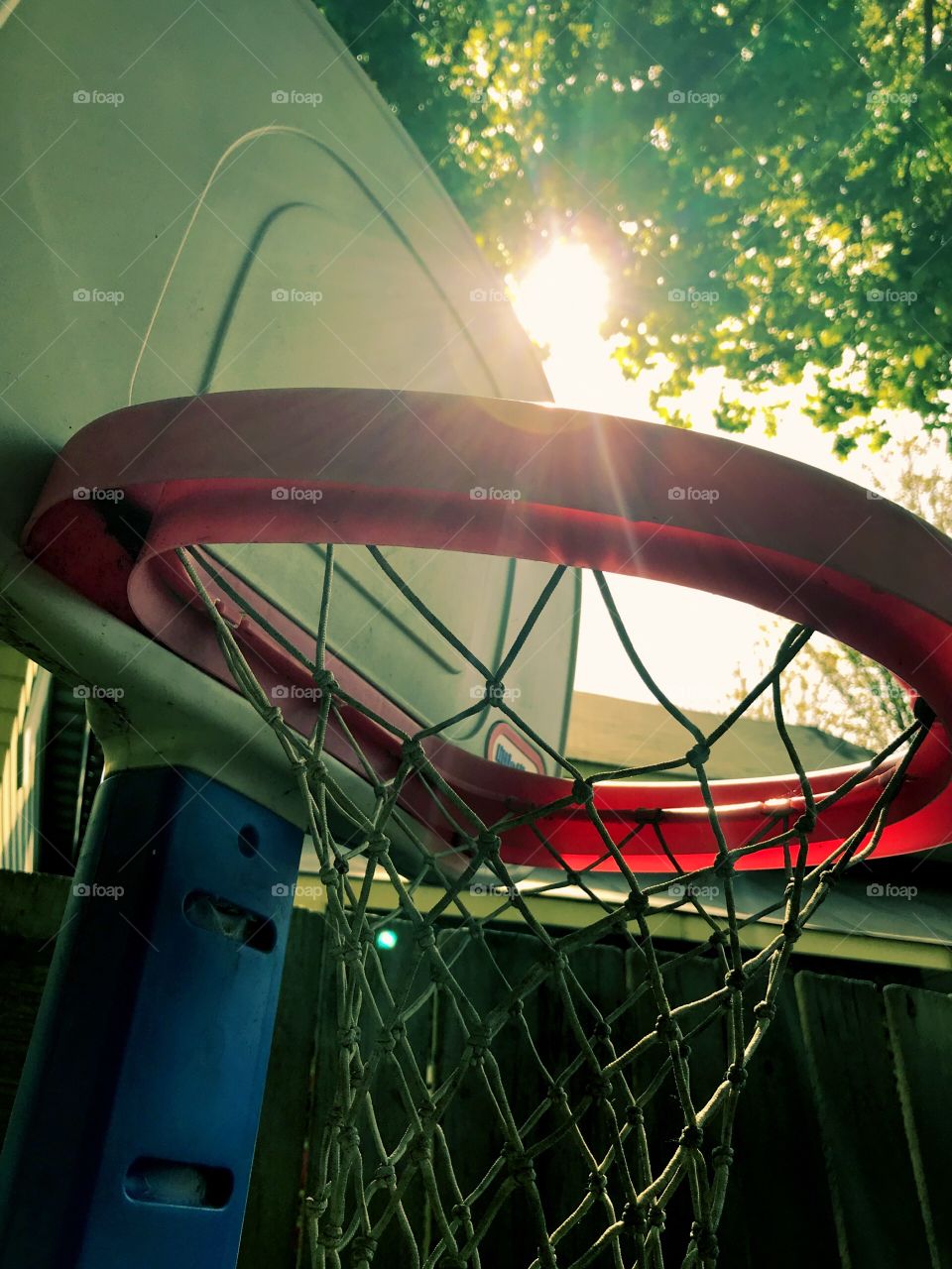 Basketball net