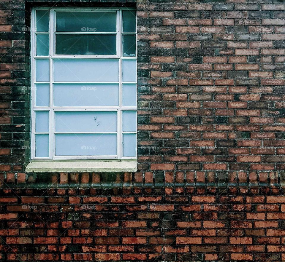 A single window amongst a tidy brick wall. The color and tones being effective. Wellington Station NZ.