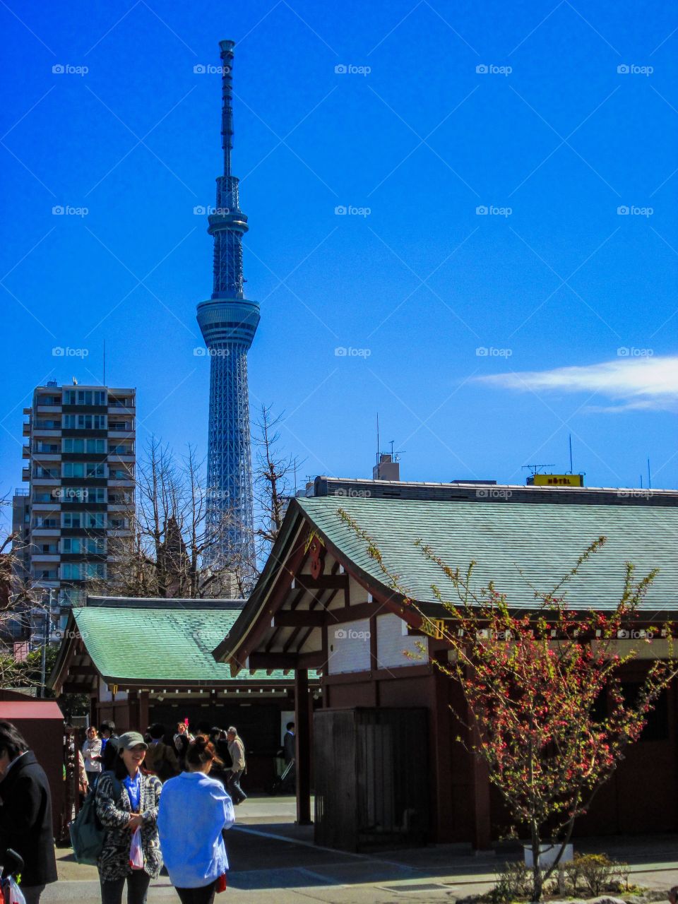 Sky tree tower