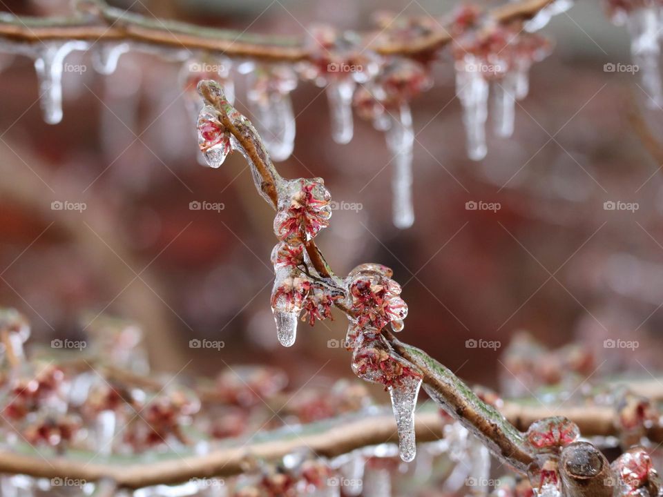 Flower icicles