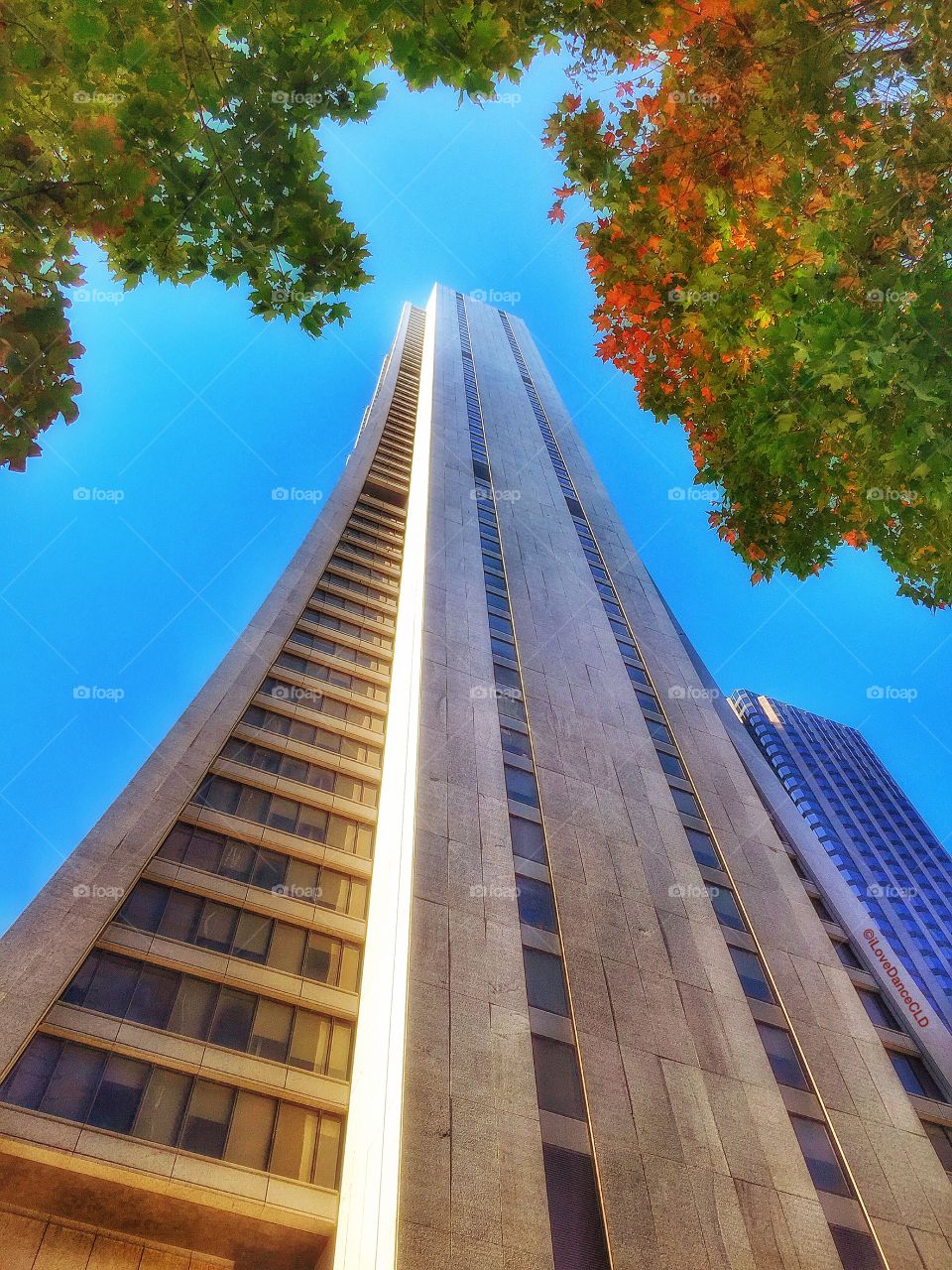 Chicago Series: Chase Tower, Chicago Loop