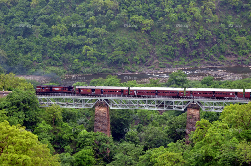 the nature is so beautiful