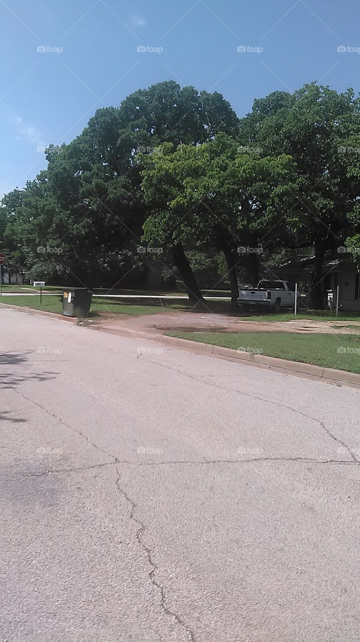 happy mothers day. i was walking home from church and took this picture