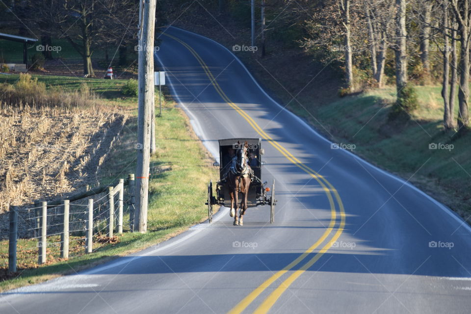 Amish Country Fun