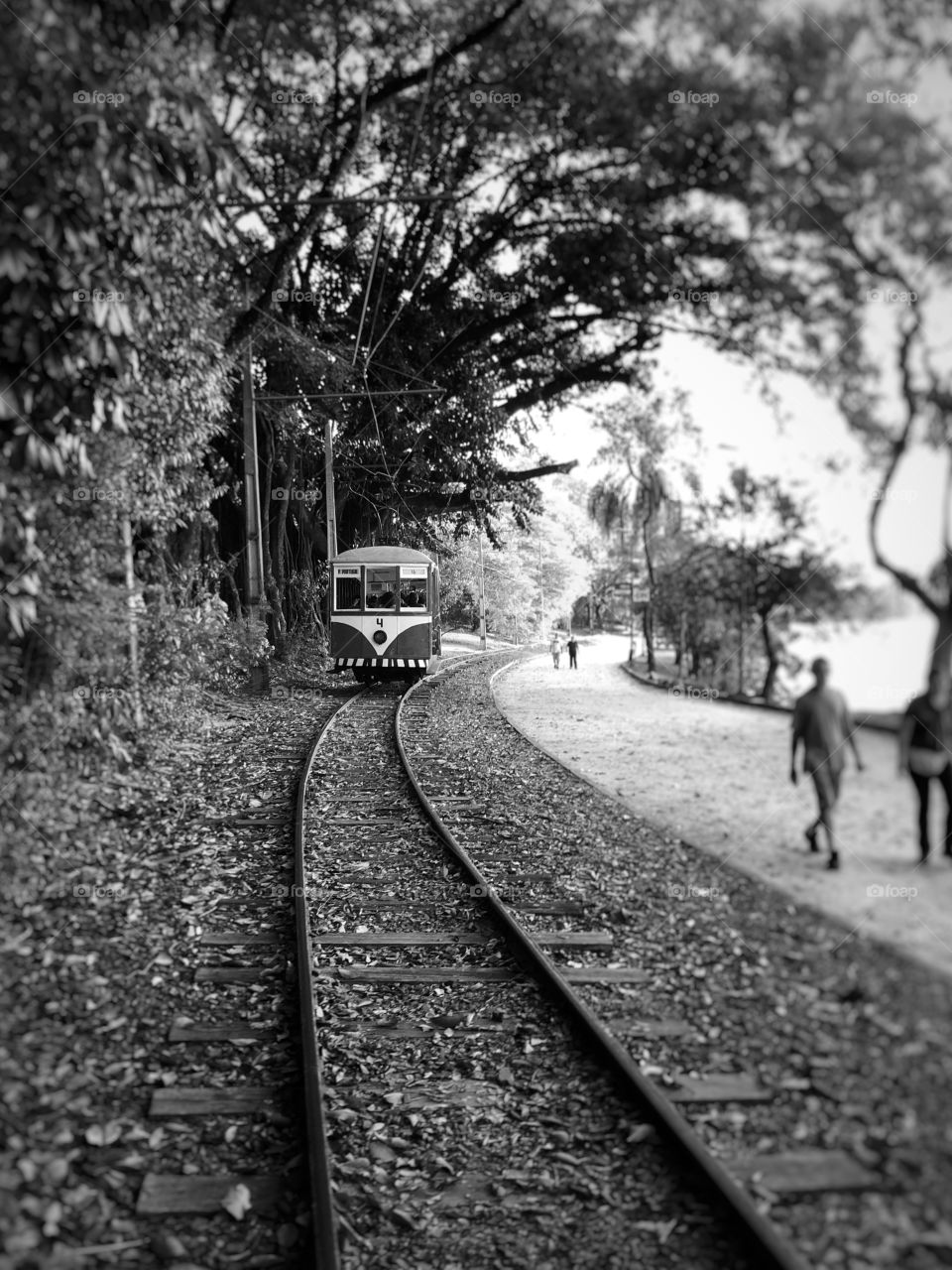 Old days, today. One of the great ways to understand the past is to experience it. This tram, in a park in the city was a great opportunity for that, while enjoying the scenery, the landscape, and the sunny day.