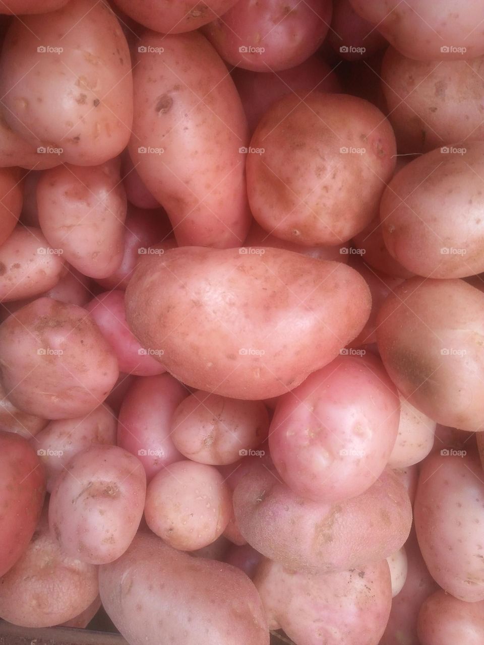 Potatoes.