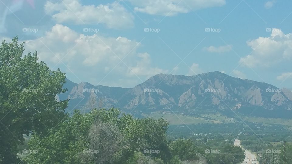 Colorado Rockies