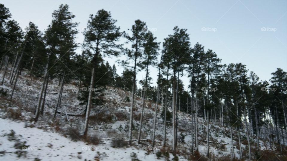 Driving through the mountains