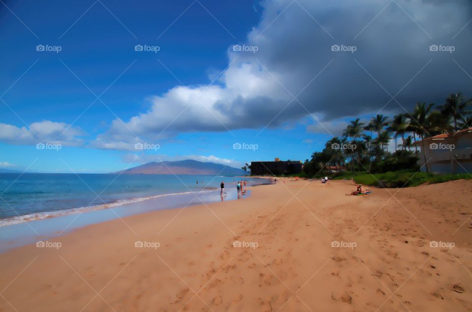 Beach Day