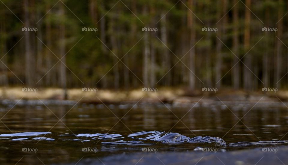 Peaceful Water in slow motion