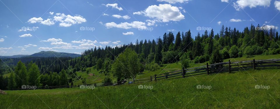 Carpathian mountains landscape