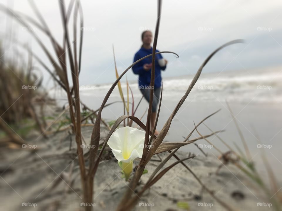 By the seashore