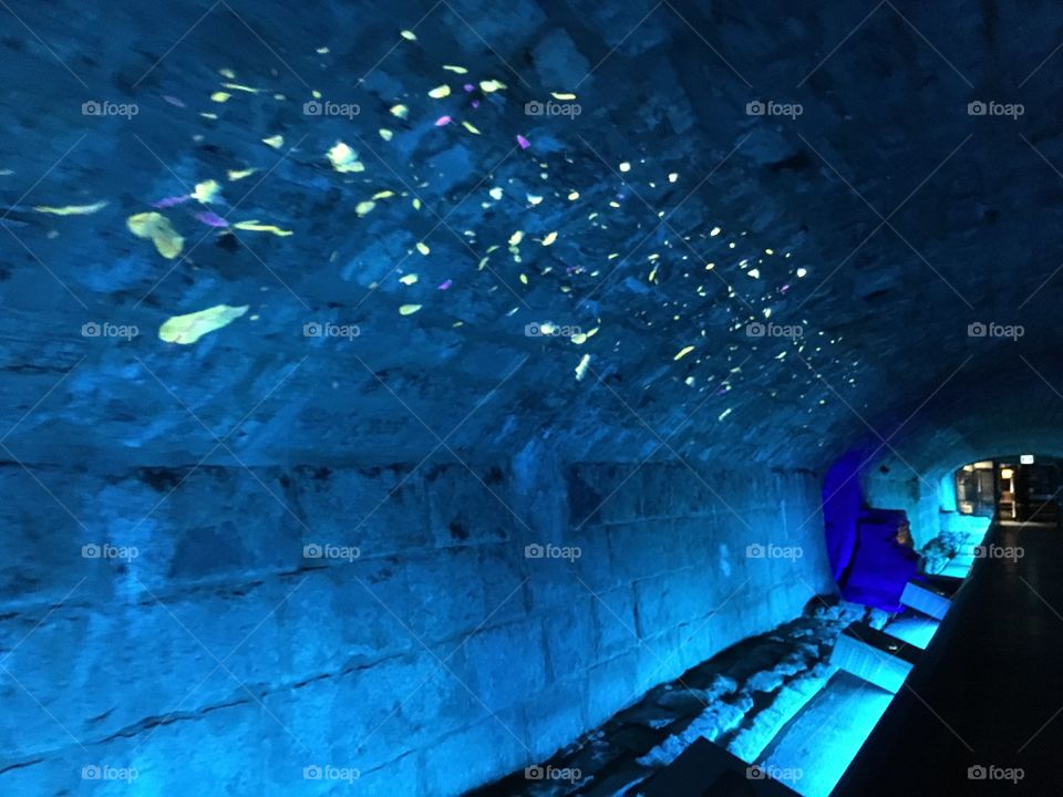 Montreal Museum underground tunnel