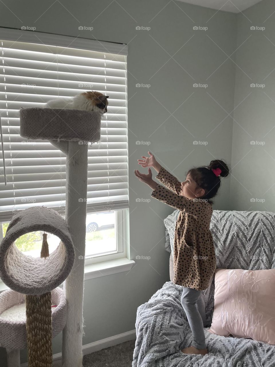 Little girl reaches out to cat, trying to pet cats in a cat tree, calling out to the cat on top of the cat tree, little girl loves cats