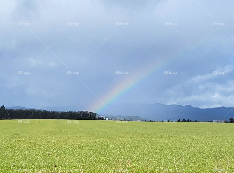 Rainbow Beyond The Field