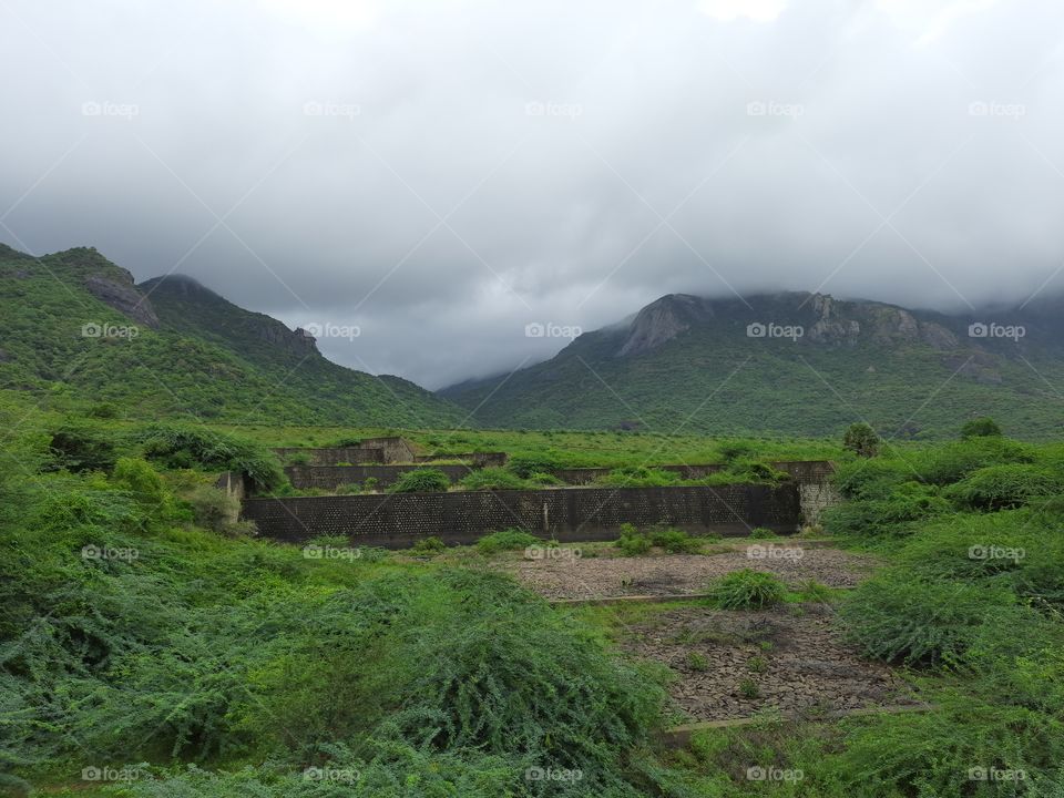 An abondant dam covered by nature