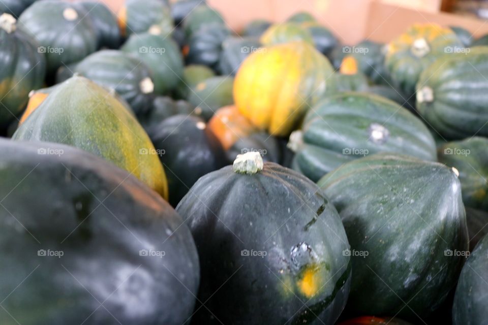 Acorn Squash