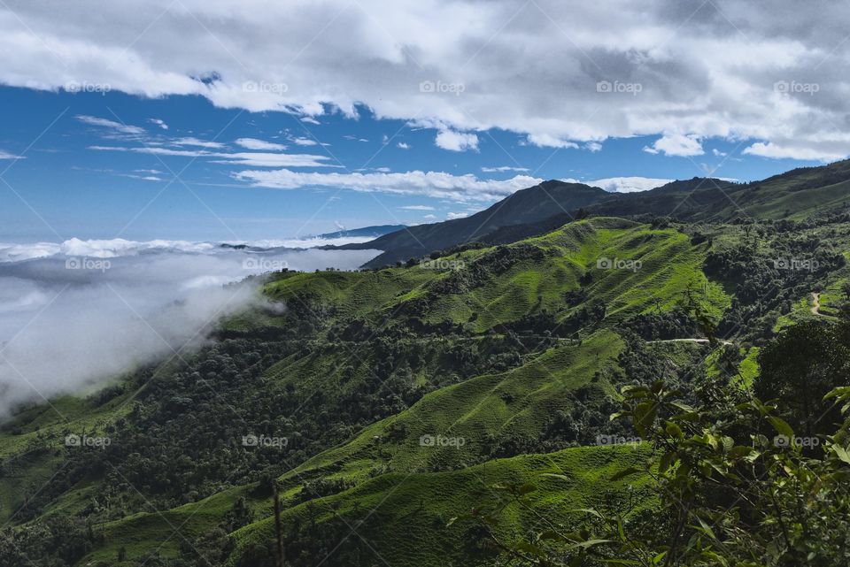 Green mountains in Ecuador and its landscapes