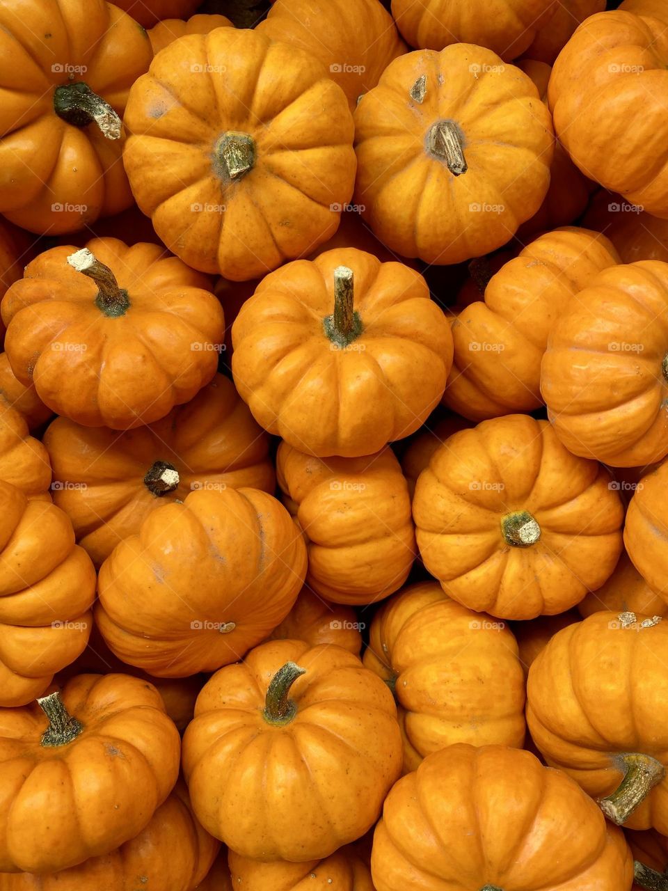 Pumpkins