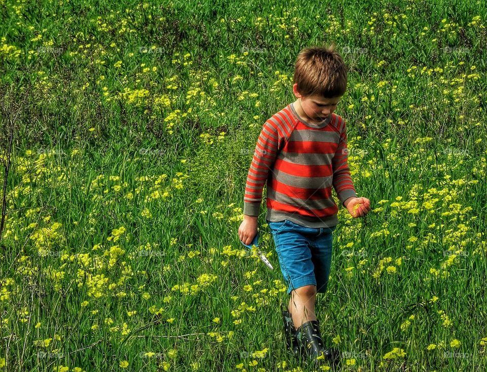 Boy picking wildflowers in spring meadow