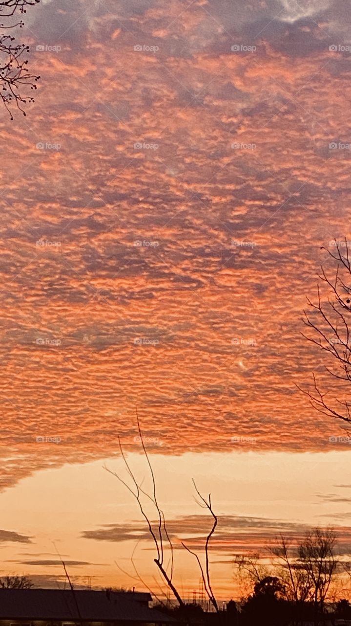 Orange cascading Sky with A huge Puffy Clouds glowing. Silhouettes Captivating the Sky. 
