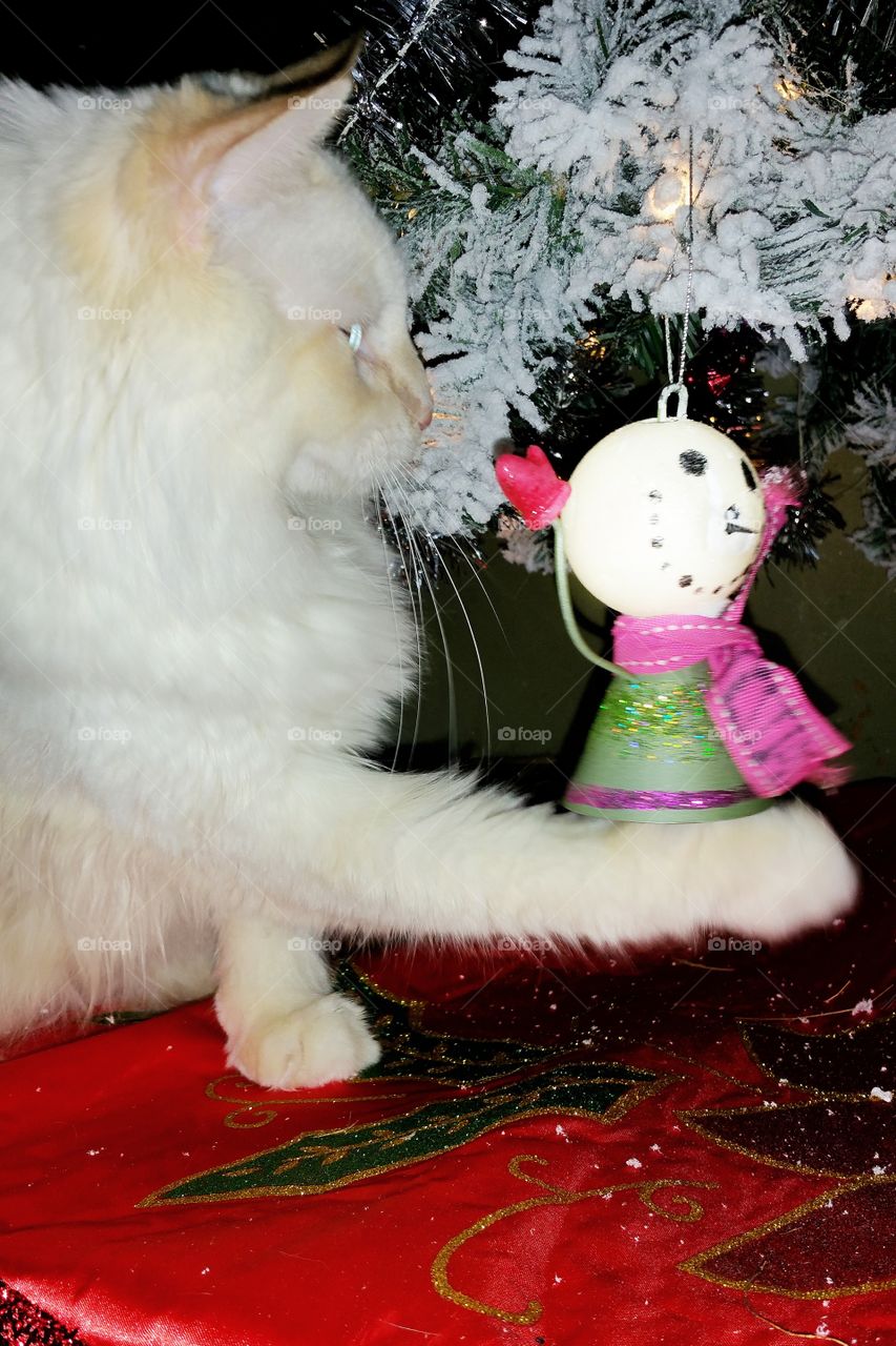 funny cat with Christmas tree decoration