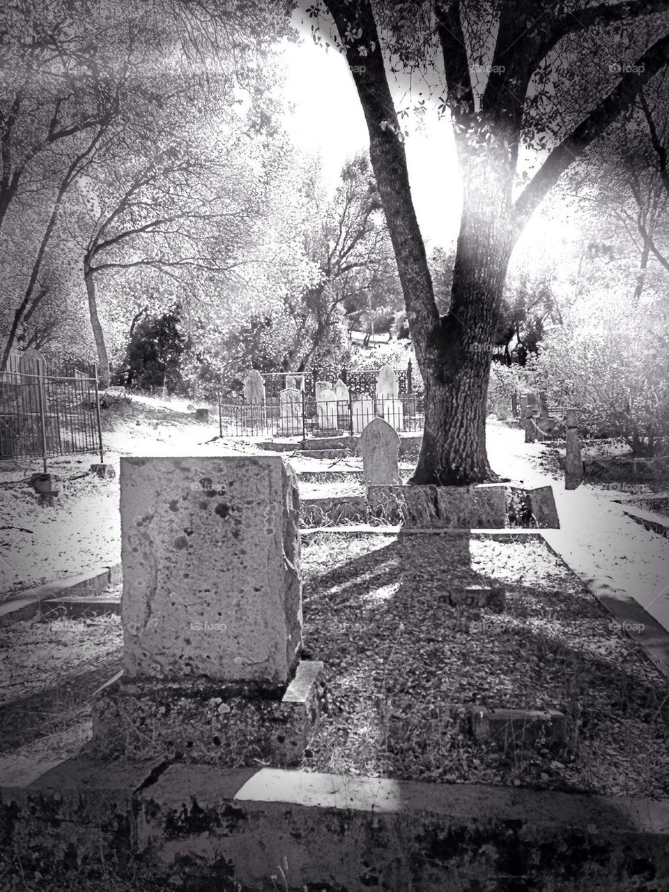 Pioneer Cemetery, Coloma, CA