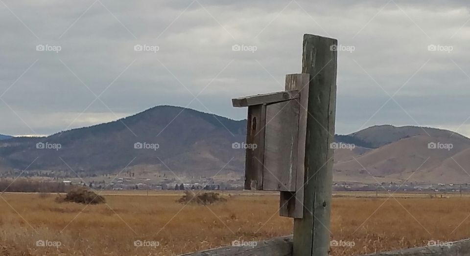 birdhouse on a post on wildlife reserve