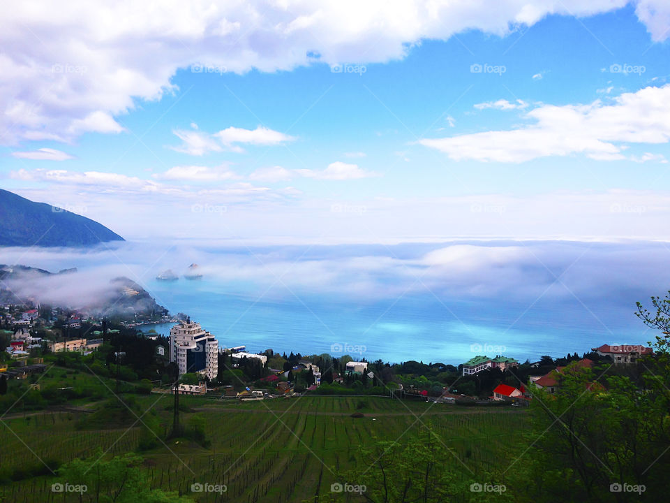 Beautiful valley with vineyards at the seaside covered by mist above blue water 