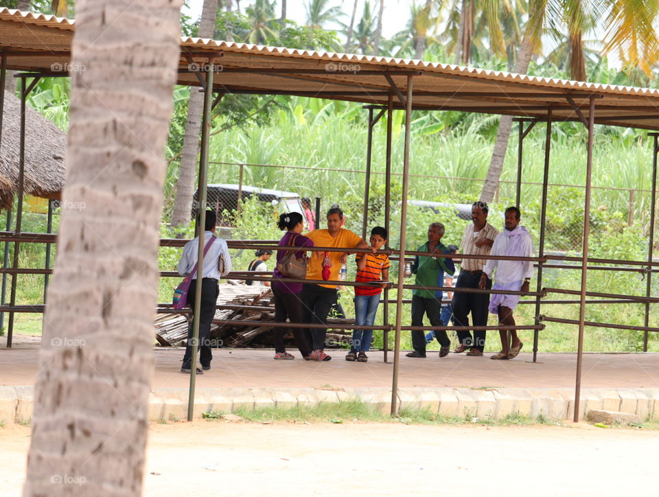 Summer, Wood, Outdoors, Travel, Tree