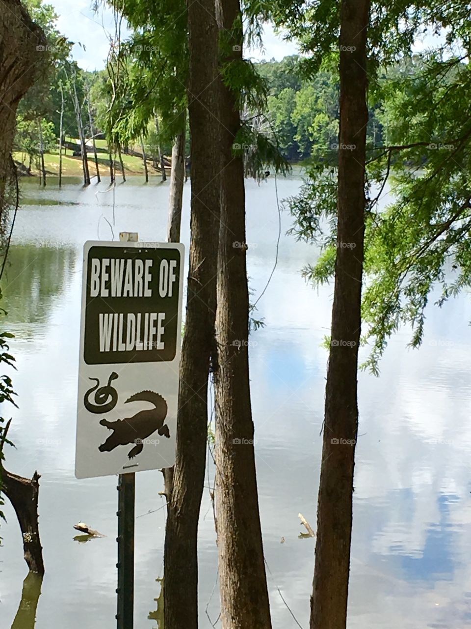 Swamp Sign