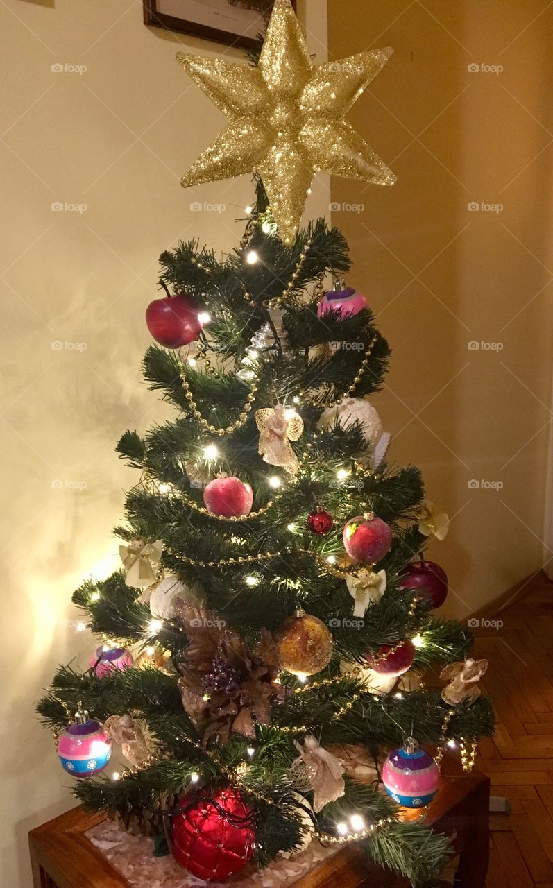 Christmas tree’2019
