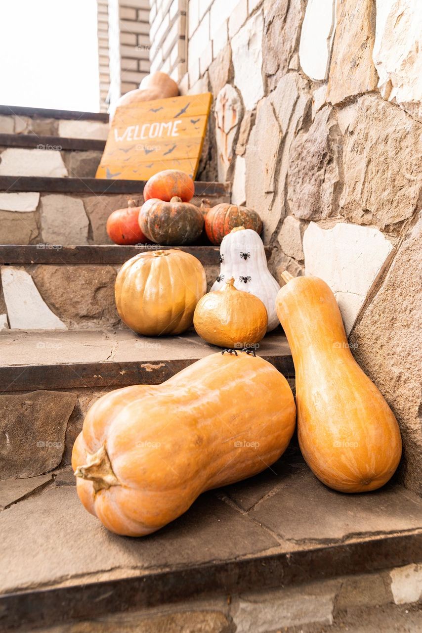 pumpkin on stairs