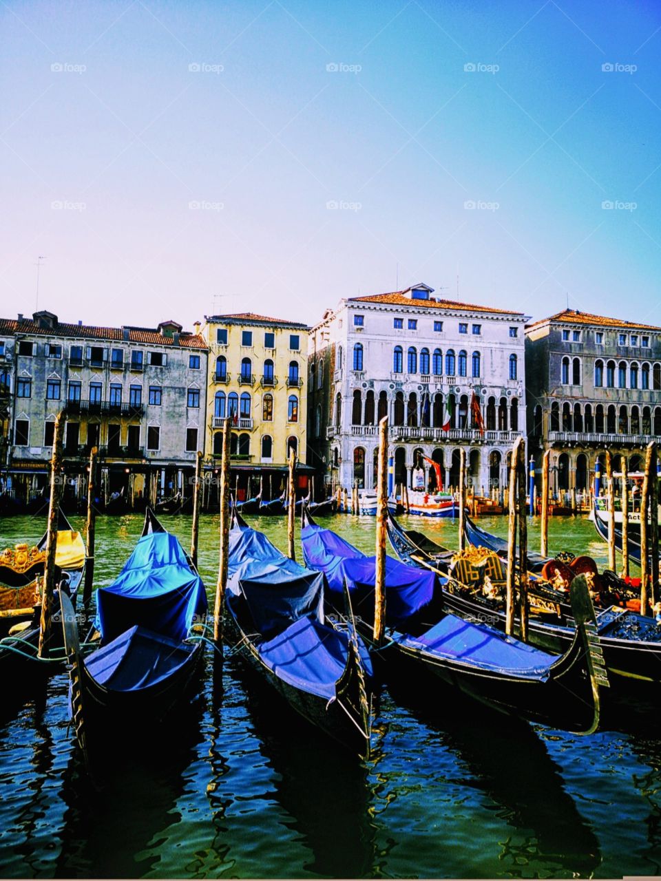 blue gondolas un Venice Italy