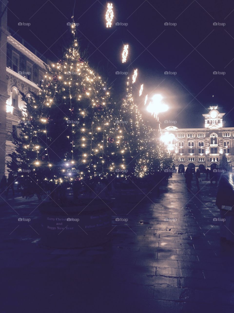 It's the most wonderful time of the year@ Italy, Trieste