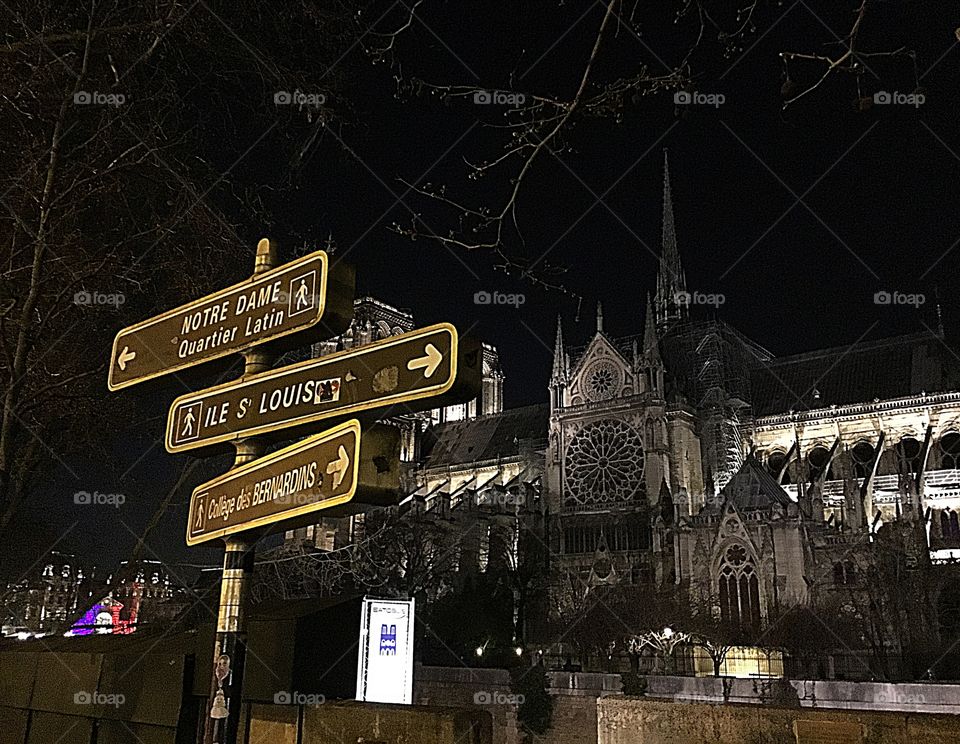 Amazing photos I took March 2019 of Notre-Dame Catholic Cathedral, one of France’s greatest National Monument, before it was ravaged by fire 🔥