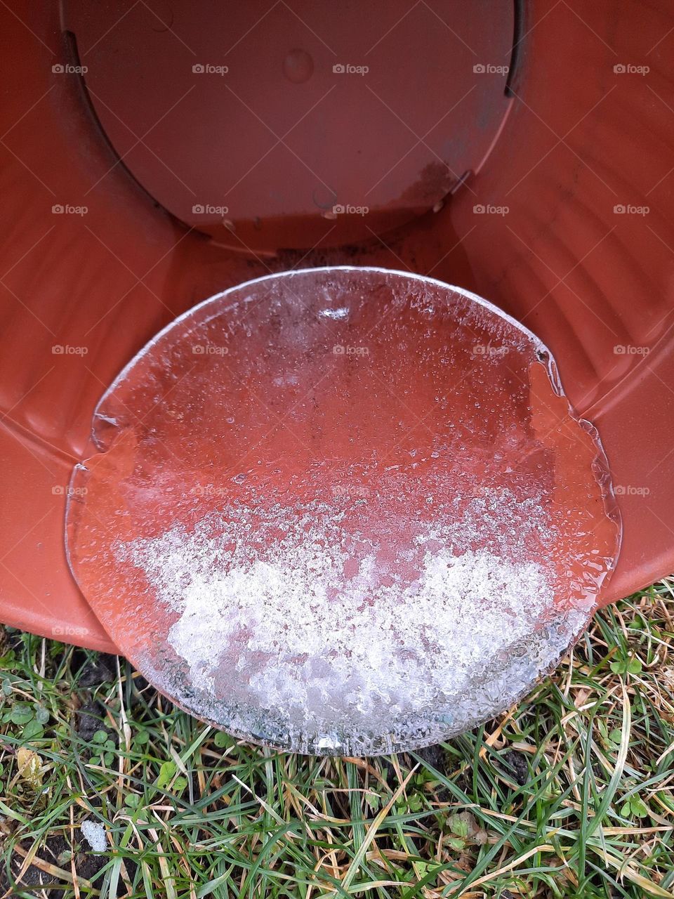 ice cast of the bottom of a pot after a frosty night