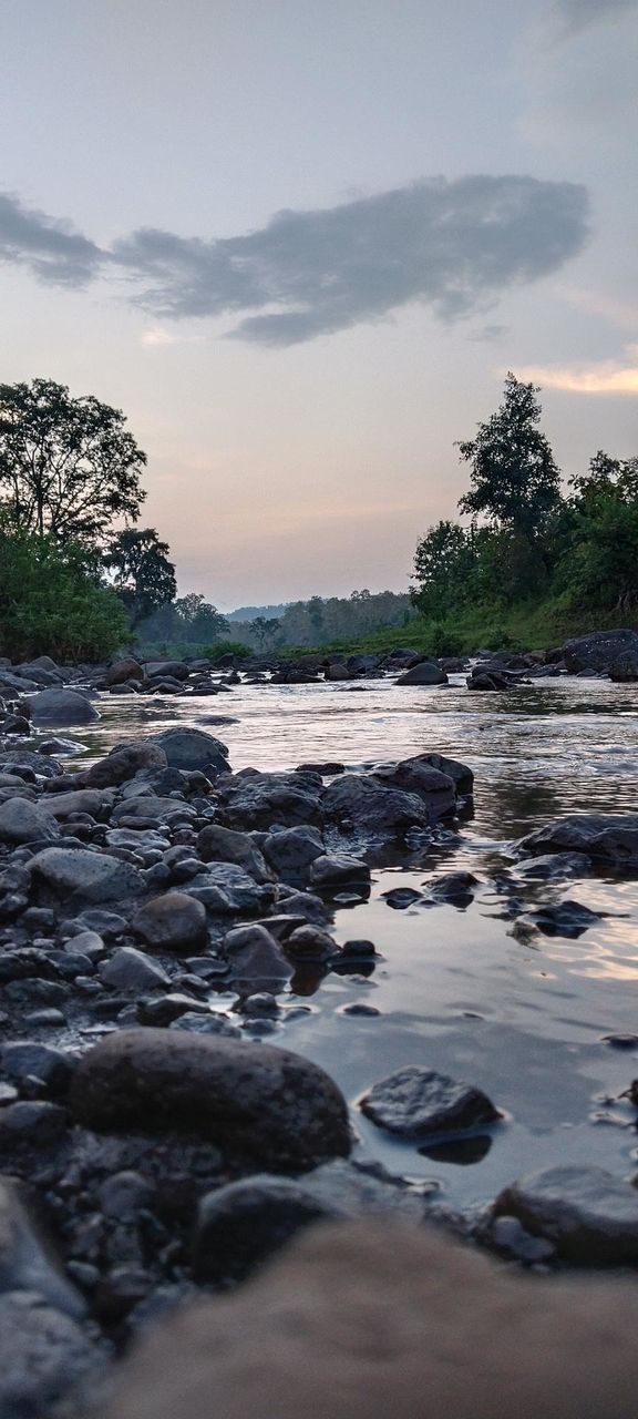 nature river