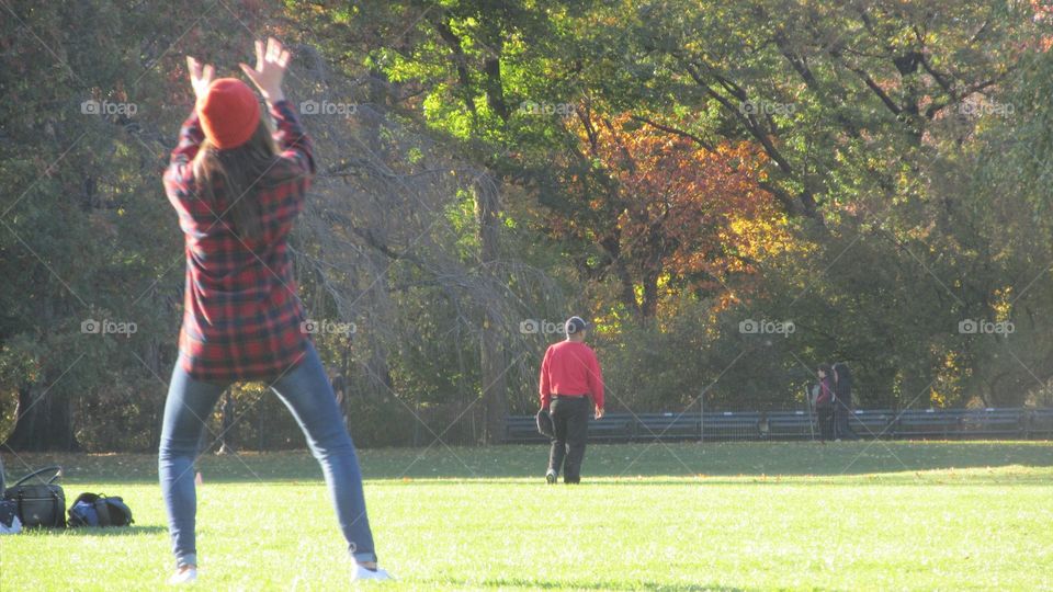 A Group of Adults Tossing a Football & Frisbee Back and Forth in a City Park on a Nice Sunny Autumn Day Version 3