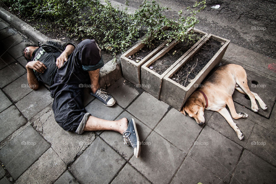 bedroom . man and dog sleep 