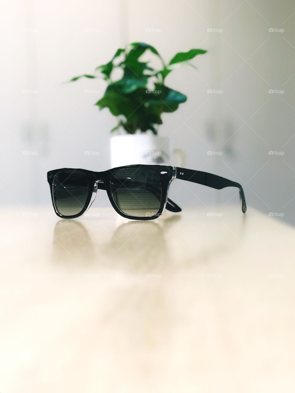 New sunglasses 