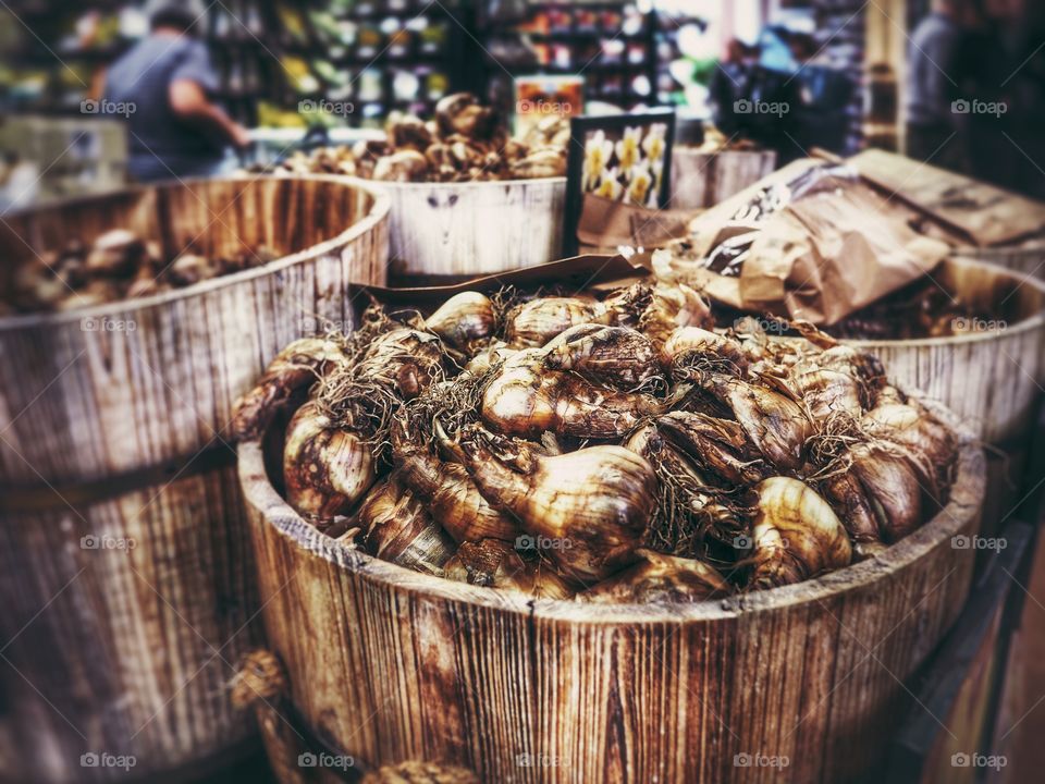 Bulbs. Garden centre